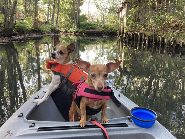 Cheezburger Image 10610189568