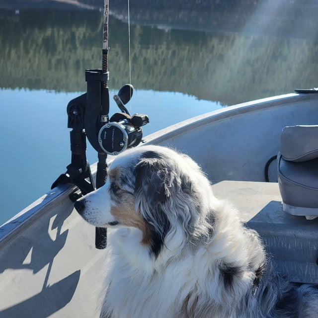 Cheezburger Image 10610189824