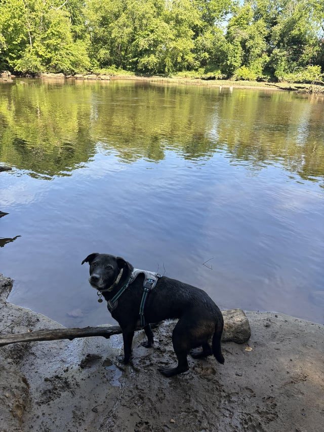 Cheezburger Image 10610190592