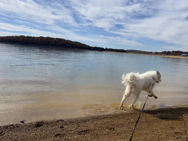 Cheezburger Image 10610191104