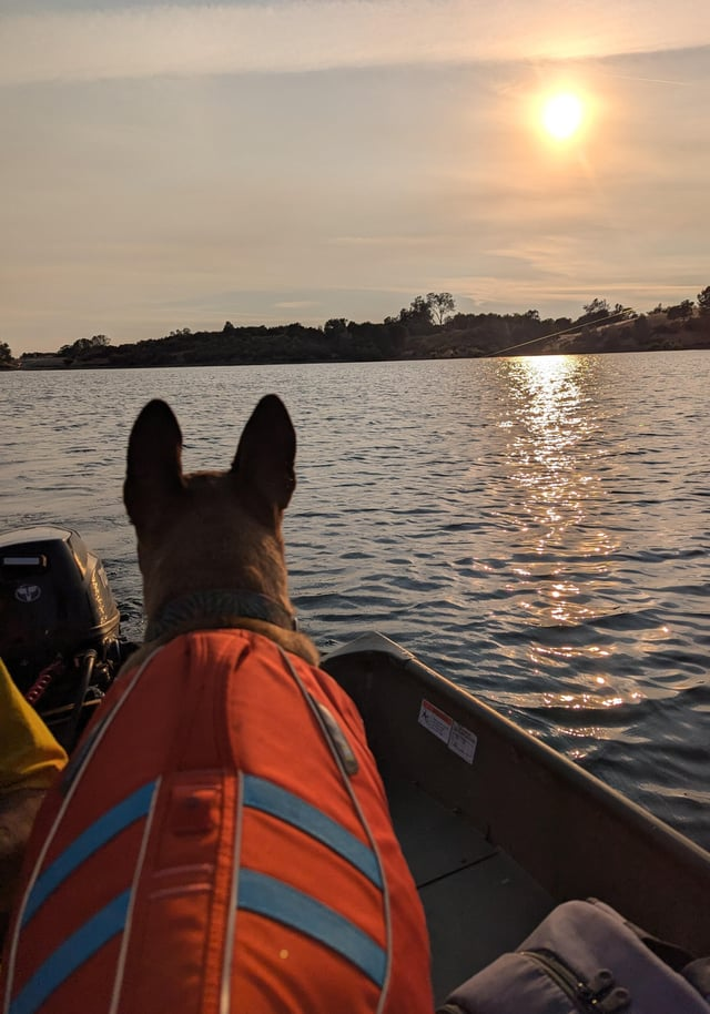 Cheezburger Image 10610191360