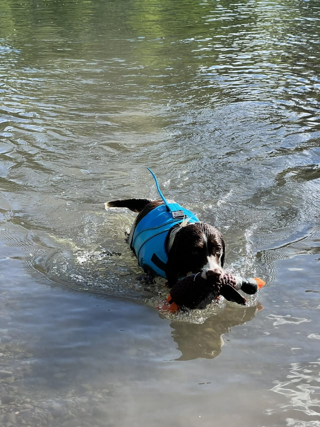 Cheezburger Image 10610191872