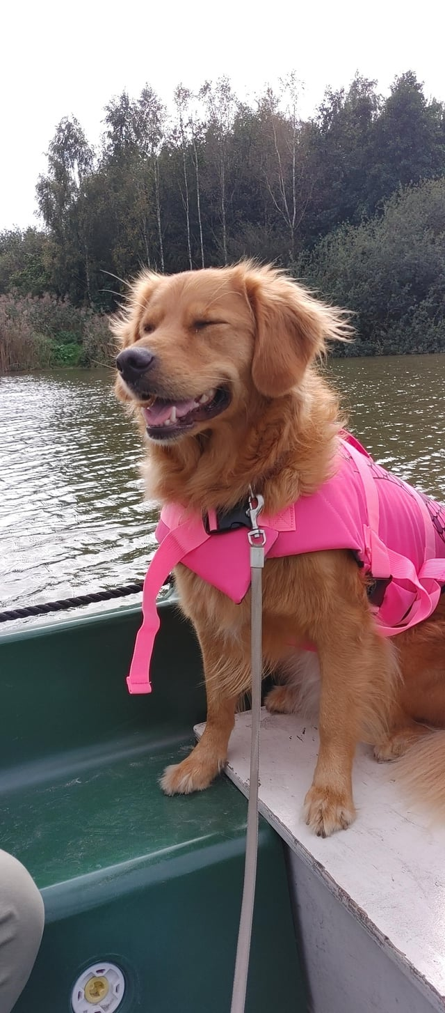 Cheezburger Image 10610192128