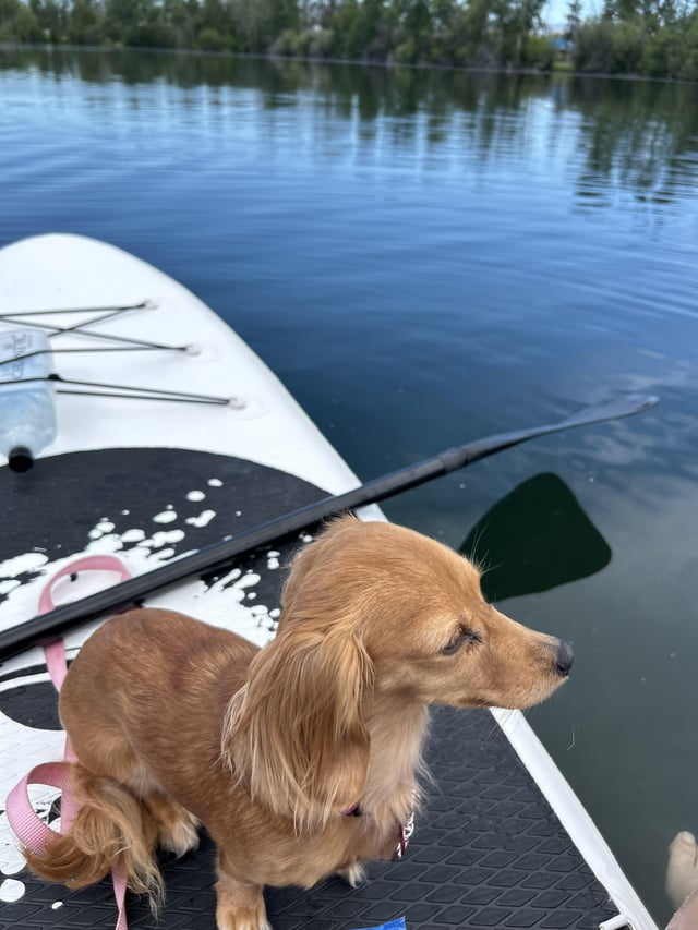 Cheezburger Image 10610192384