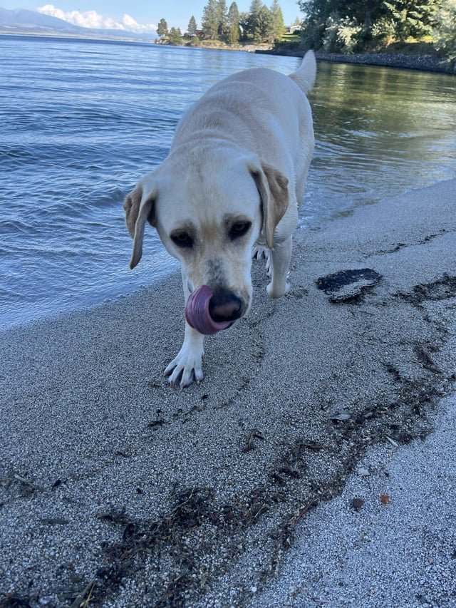 Cheezburger Image 10610193152