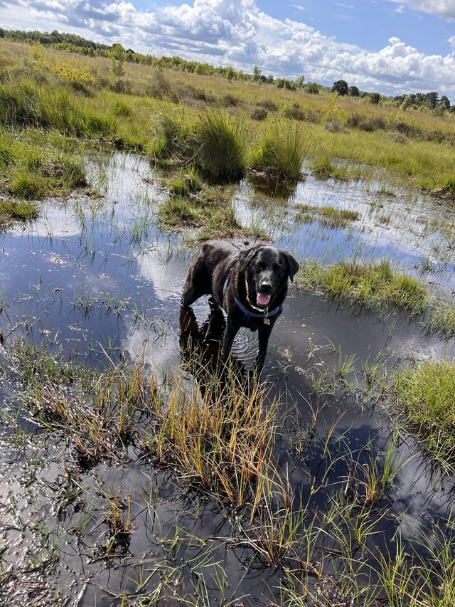 Cheezburger Image 10610193408