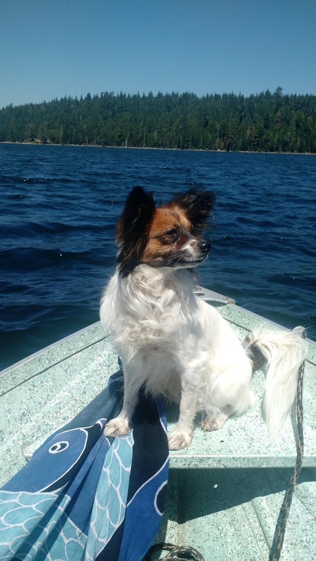 Cheezburger Image 10610193664