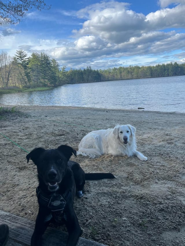 Cheezburger Image 10610193920