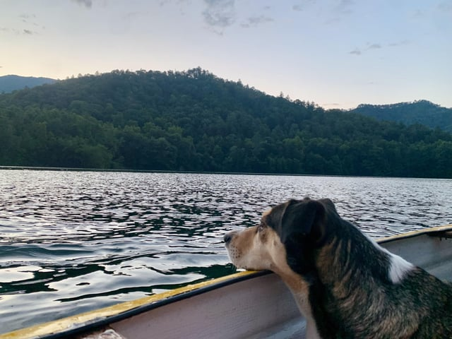 Cheezburger Image 10610194176