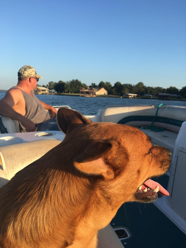 Cheezburger Image 10610194432