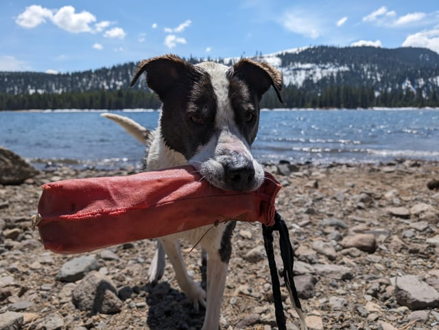 Cheezburger Image 10610194944