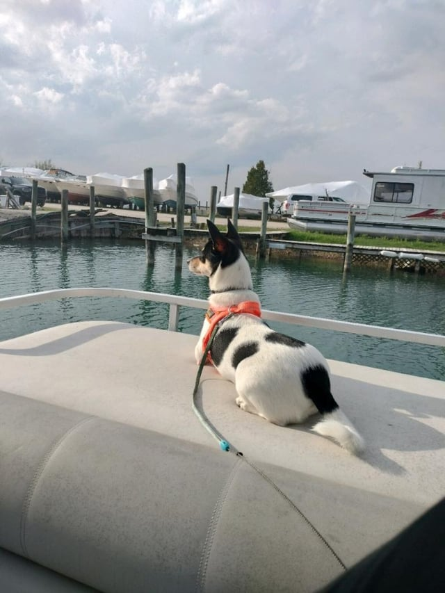 Cheezburger Image 10610195200