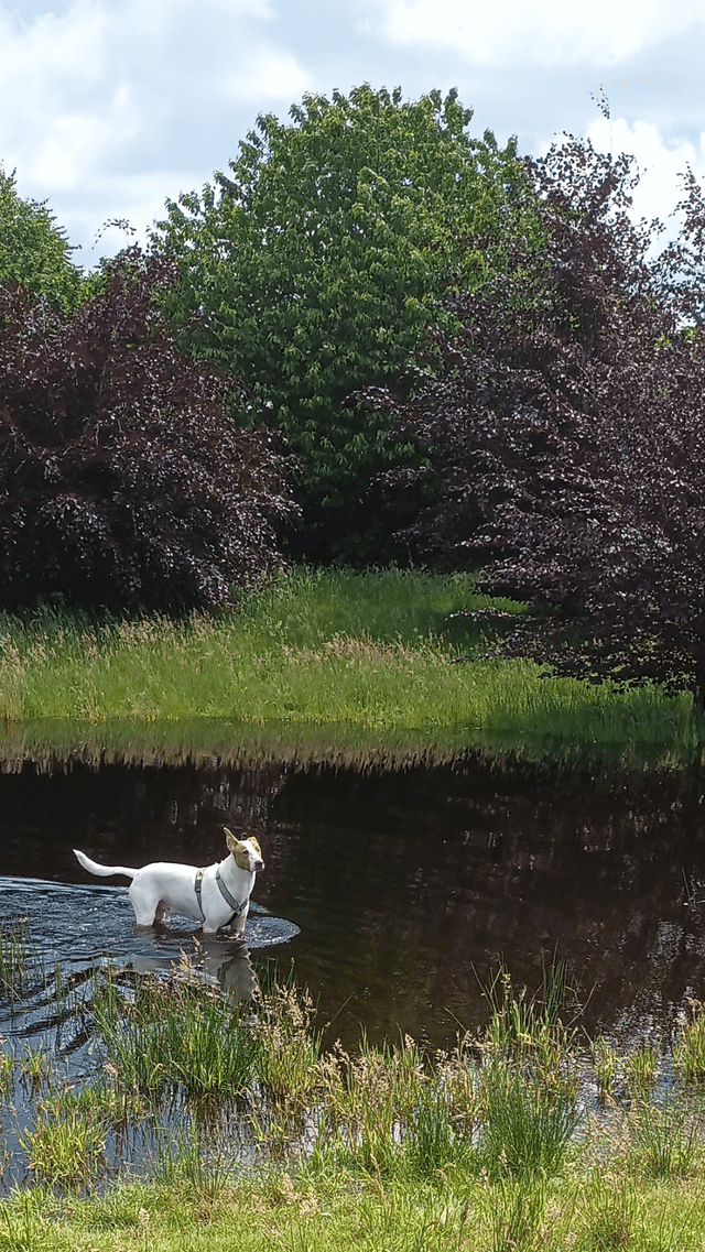 Cheezburger Image 10610195456