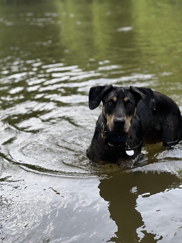 Cheezburger Image 10610195712