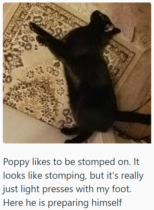 Poppy likes to be stomped on. It looks like stomping, but it's really just light presses with my foot. Here he is preparing himself