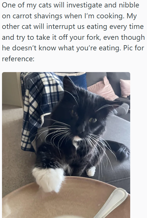One of my cats will investigate and nibble on carrot shavings when I'm cooking. My other cat will interrupt us eating every time and try to take it off your fork, even though he doesn't know what you're eating. Pic for reference: