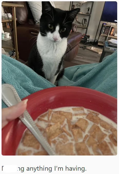 [ ng anything I'm having.