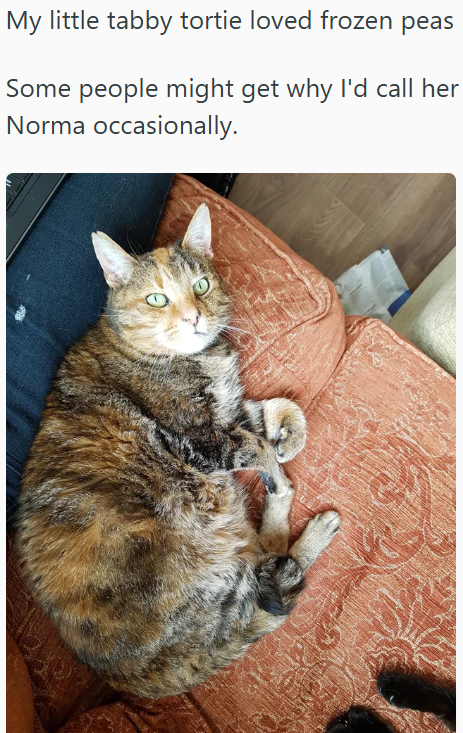 My little tabby tortie loved frozen peas Some people might get why I'd call her Norma occasionally.