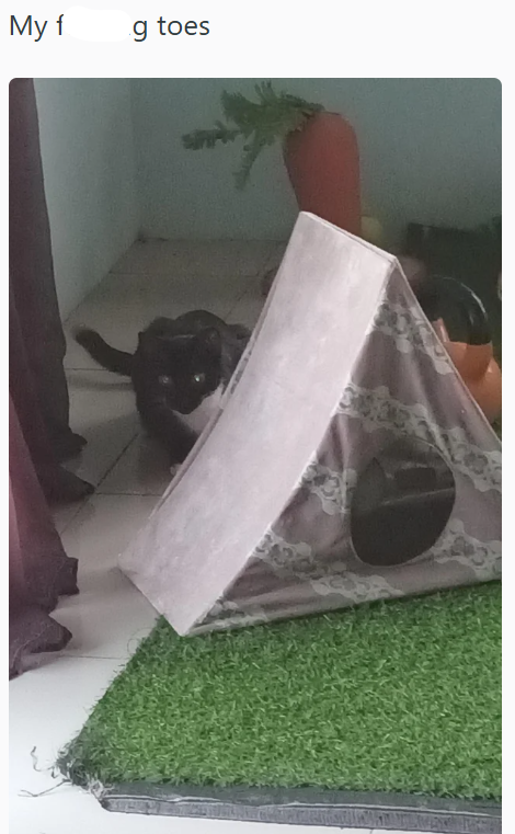 My f g toes