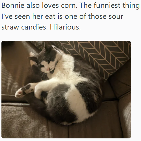 Bonnie also loves corn. The funniest thing I've seen her eat is one of those sour straw candies. Hilarious.