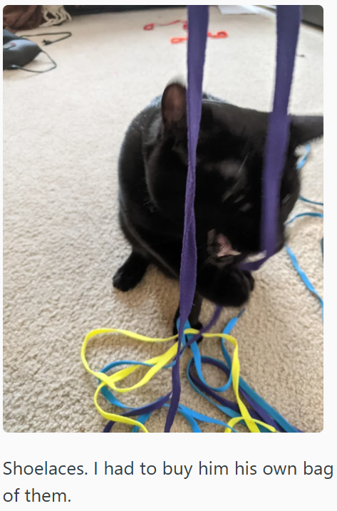 Shoelaces. I had to buy him his own bag of them.