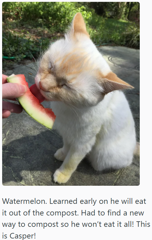 Watermelon. Learned early on he will eat it out of the compost. Had to find a new way to compost so he won't eat it all! This is Casper!