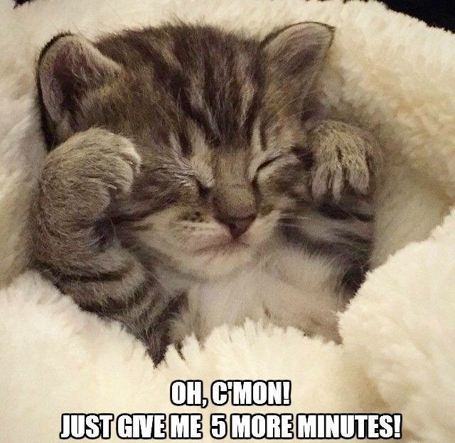 OH, C'MON! JUST GIVE ME 5 MORE MINUTES!
