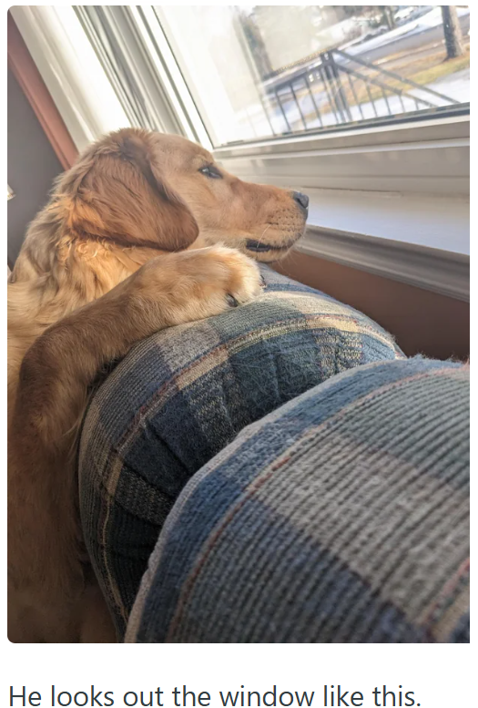 He looks out the window like this.
