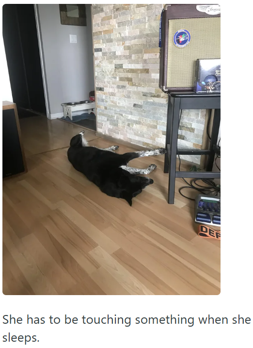 DEF She has to be touching something when she sleeps.