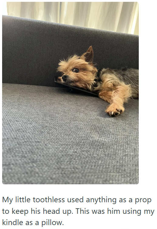 My little toothless used anything as a prop to keep his head up. This was him using my kindle as a pillow.