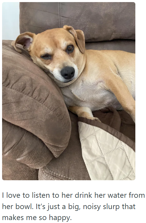 I love to listen to her drink her water from her bowl. It's just a big, noisy slurp that makes me so happy.