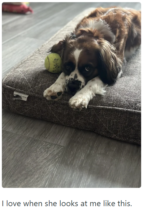 I love when she looks at me like this.