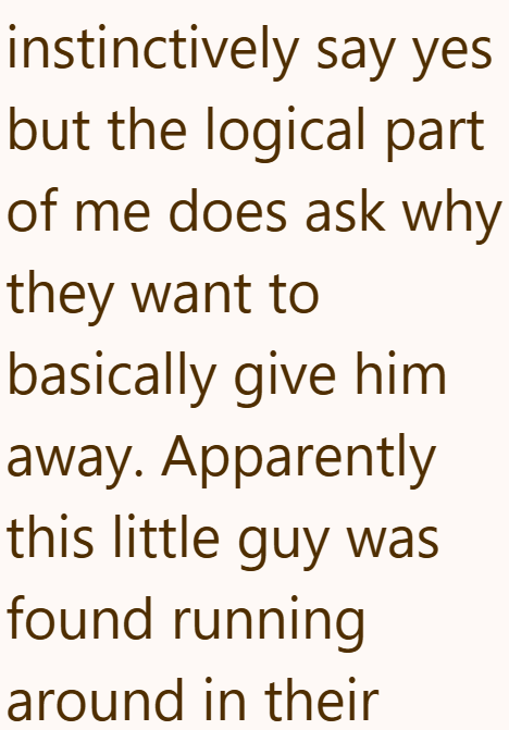 instinctively say yes but the logical part of me does ask why they want to basically give him away. Apparently this little guy was found running around in their