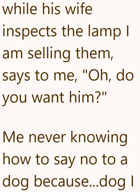 while his wife inspects the lamp I am selling them, says to me, "Oh, do you want him?" Me never knowing how to say no to a dog because...dog I