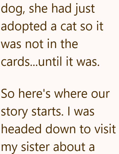 dog, she had just adopted a cat so it was not in the cards...until it was. So here's where our story starts. I was headed down to visit my sister about a