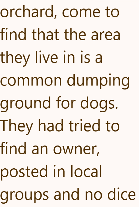 orchard, come to find that the area they live in is a common dumping ground for dogs. They had tried to find an owner, posted in local groups and no dice