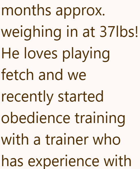 months approx. weighing in at 37lbs! He loves playing fetch and we recently started obedience training with a trainer who has experience with