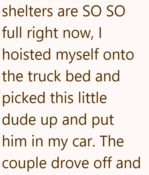 shelters are SO SO full right now, I hoisted myself onto the truck bed and picked this little dude up and put him in my car. The couple drove off and