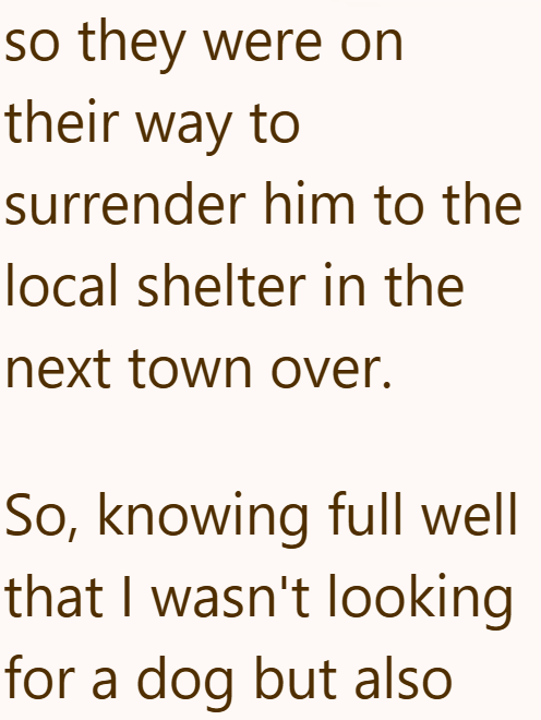 so they were on their way to surrender him to the local shelter in the next town over. So, knowing full well that I wasn't looking for a dog but also