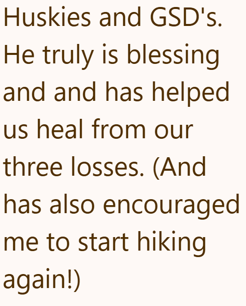 Huskies and GSD's. He truly is blessing and and has helped us heal from our three losses. (And has also encouraged me to start hiking again!)