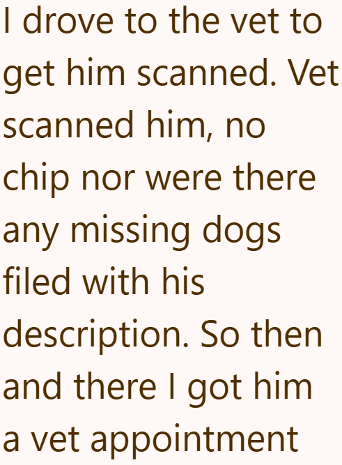 I drove to the vet to get him scanned. Vet scanned him, no chip nor were there any missing dogs filed with his description. So then and there I got him a vet appointment
