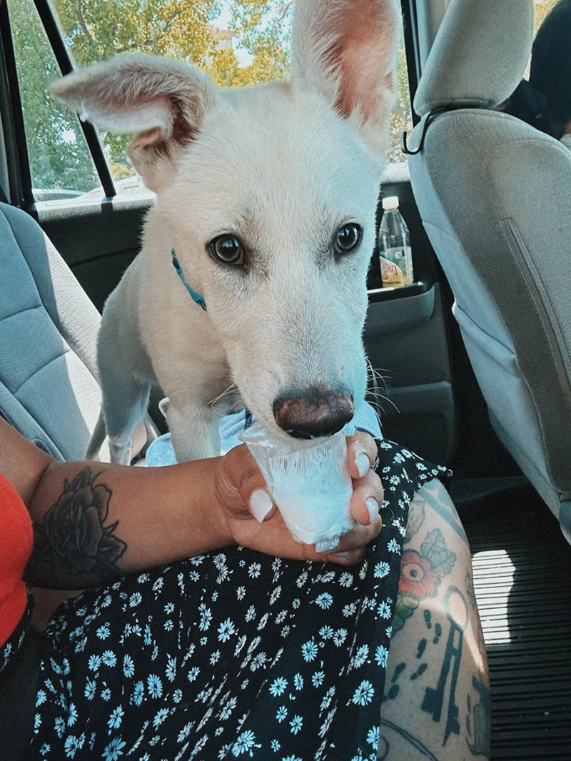 Cheezburger Image 10610223104