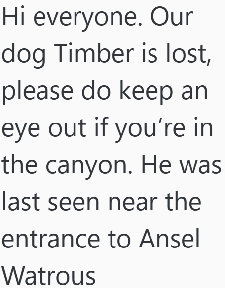 Hi everyone. Our dog Timber is lost, please do keep an eye out if you're in the canyon. He was last seen near the entrance to Ansel Watrous