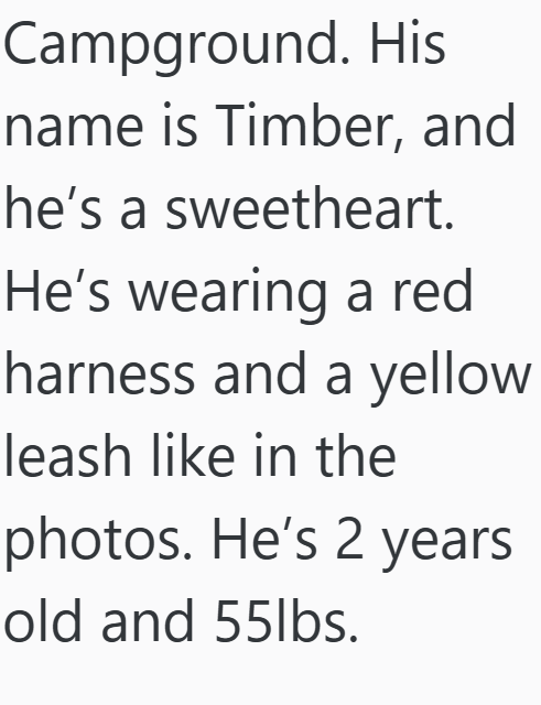 Campground. His name is Timber, and he's a sweetheart. He's wearing a red harness and a yellow leash like in the photos. He's 2 years old and 55lbs.