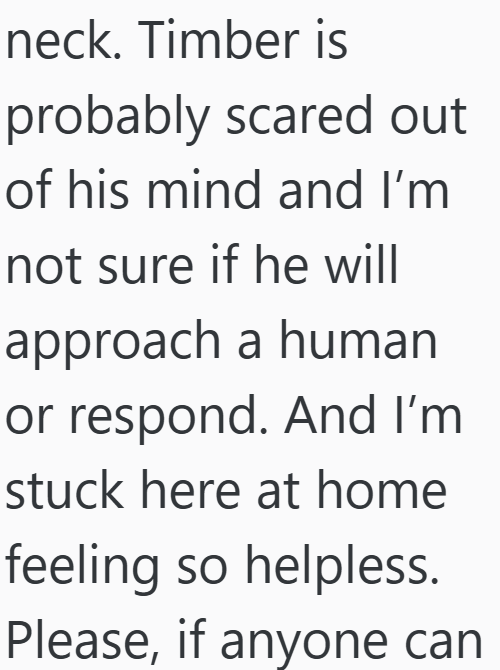 neck. Timber is probably scared out of his mind and I'm not sure if he will approach a human or respond. And I'm stuck here at home feeling so helpless. Please, if anyone can