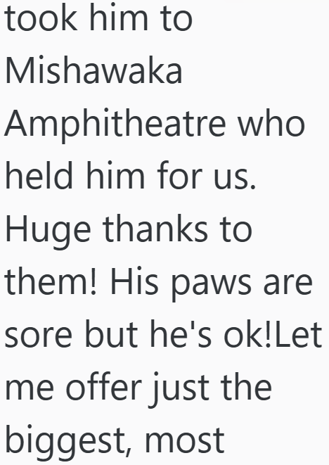 took him to Mishawaka Amphitheatre who held him for us. Huge thanks to them! His paws are sore but he's ok!Let me offer just the biggest, most
