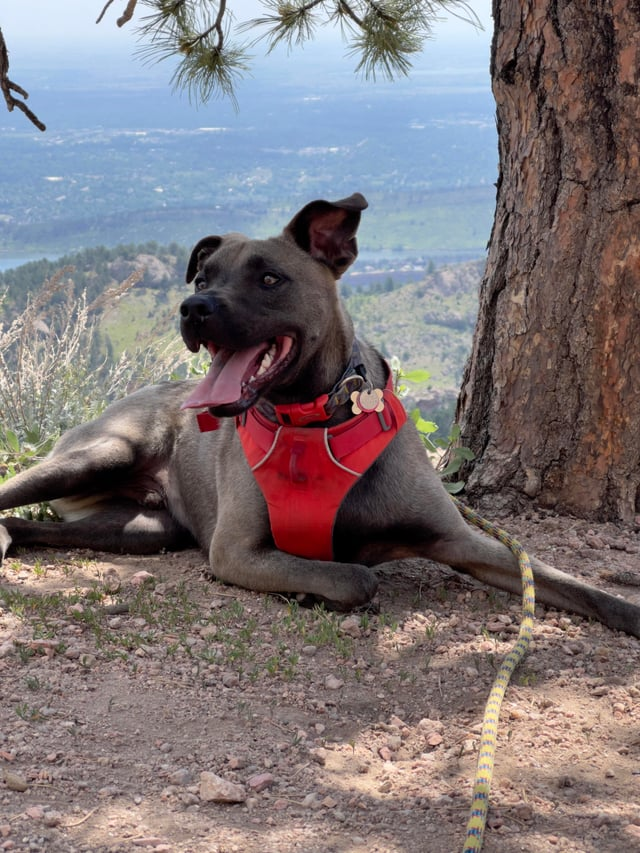 Cheezburger Image 10610227456