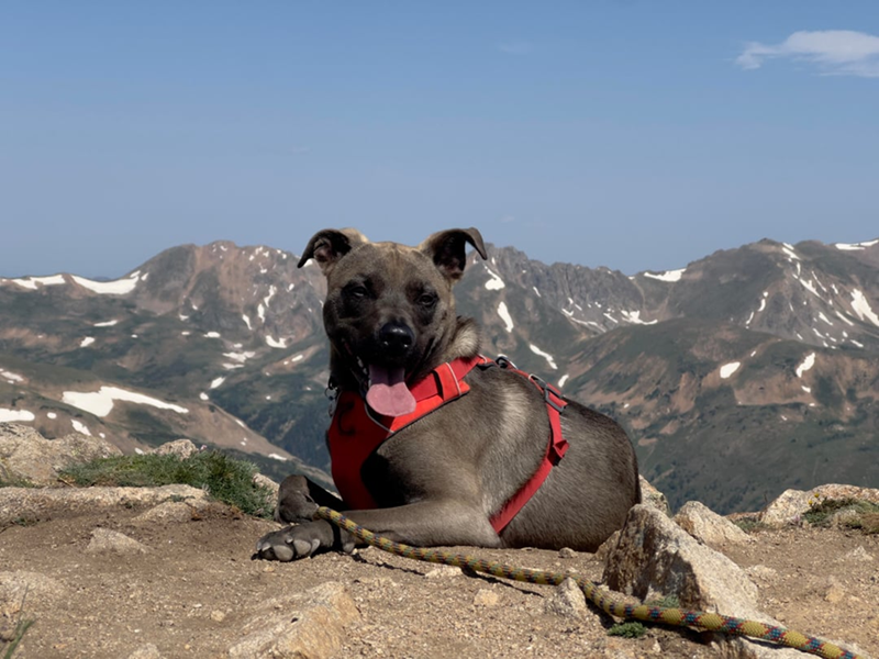 Cheezburger Image 10610227968