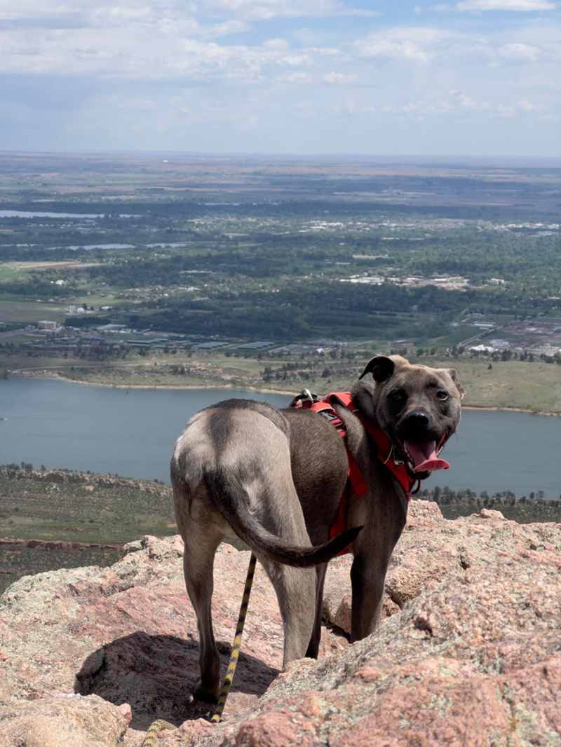 Cheezburger Image 10610228224