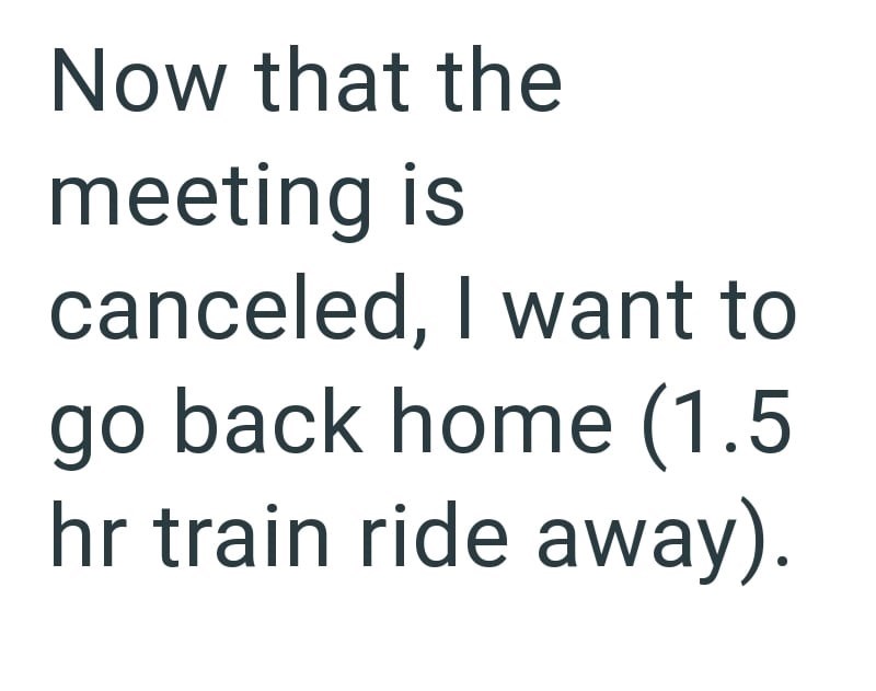 Now that the meeting is canceled, I want to go back home (1.5 hr train ride away).
